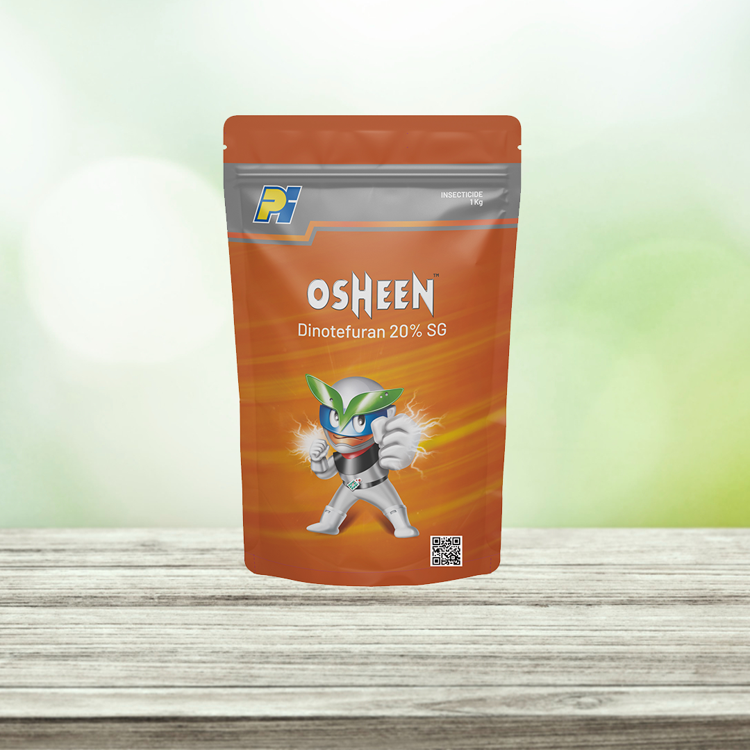 Osheen