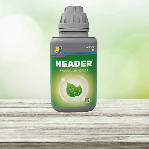 Plant Fungicide Solutions | PI Industries