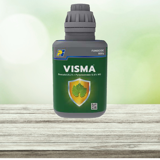 visma 1