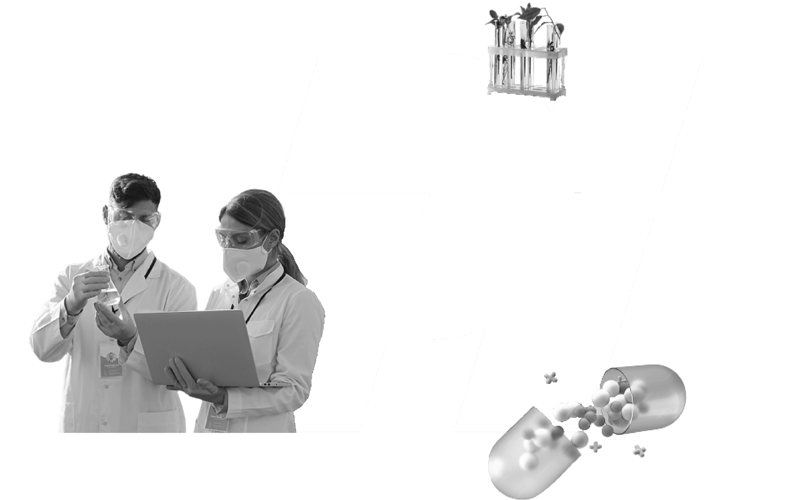 PI logo comp