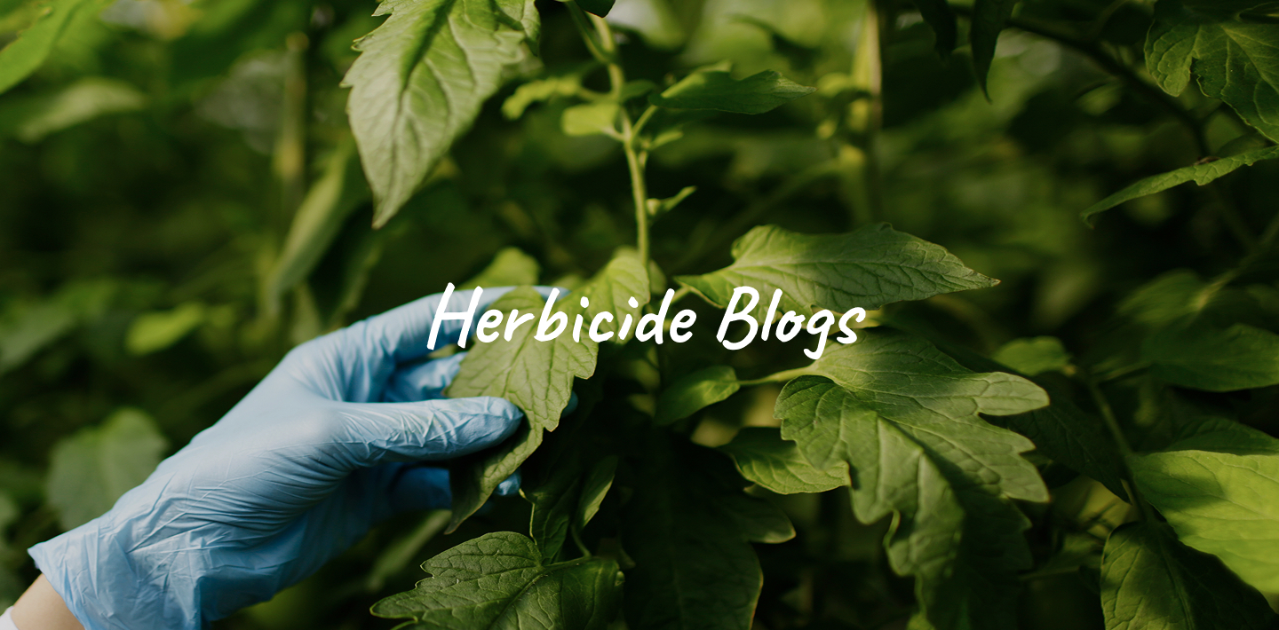Herbicides: Complete Guide to Modern Weed Control in Agriculture